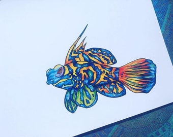 mandarin fish art etsy