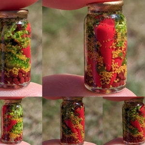Fatto a mano 12th Scale In scatola Cibo Conservare 'Jar di fagioli di rene, mais, piselli, peperoni, broccoli ed erbe' per Dollhouse Kitchen o Pantry