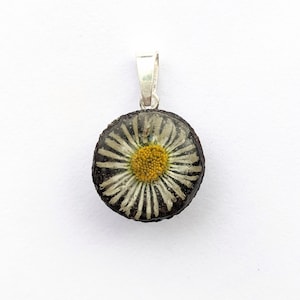 Preserved Daisy in Acorn Cap Pendant, 925 Sterling Silver