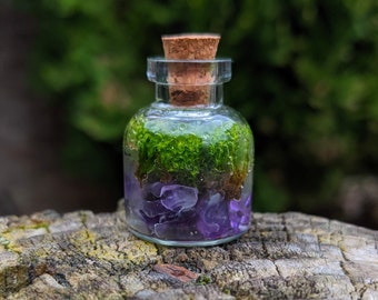 Small Closed Amethyst and Moss Terrarium, Micro Terrarium  - Live Ecosystem