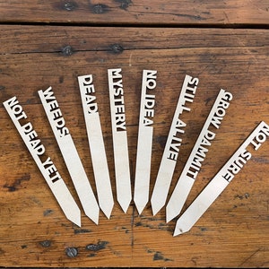 Funny Herb, Mothers day Gift, Flower or Garden Marker Set of 8 Eco Friendly Set, Sustainable Gifts, Stocking Stuffer