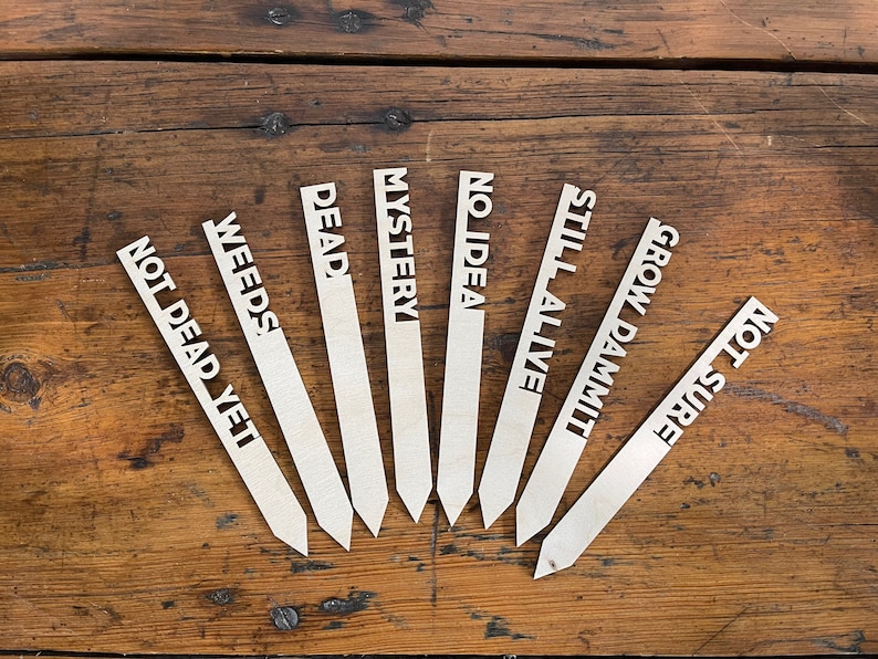 K&ouml;nnte beinhalten: Acht h&ouml;lzerne Pflanzenmarkierungen mit humorvollen Texten, darunter "Noch nicht tot", "Unkraut", "Tot", "Mysterium", "Keine Ahnung", "Lebt noch", "Wachse verdammt noch mal" und "Nicht sicher".