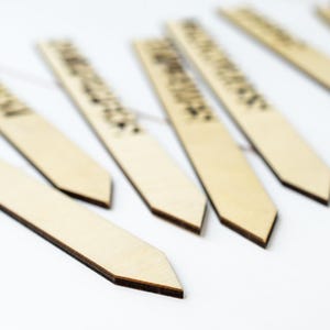 May include: A set of six wooden plant markers with pointed ends. The markers are blank and ready to be labeled.