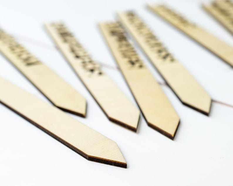 May include: A set of six wooden plant markers with pointed ends. The markers are blank and ready to be labeled.