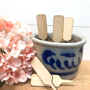 Herb & Vegetable Seed Garden Markers~ Eco Friendly