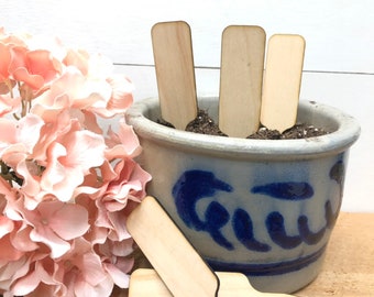 Marcatori per giardino di semi di erbe e verdure ~ Ecologico