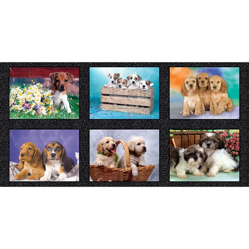 Somebody To Love Cute Puppies Kitten Nursery Cotton Craft Sewing Novelty Quilting Fabric Panel 24\u201c