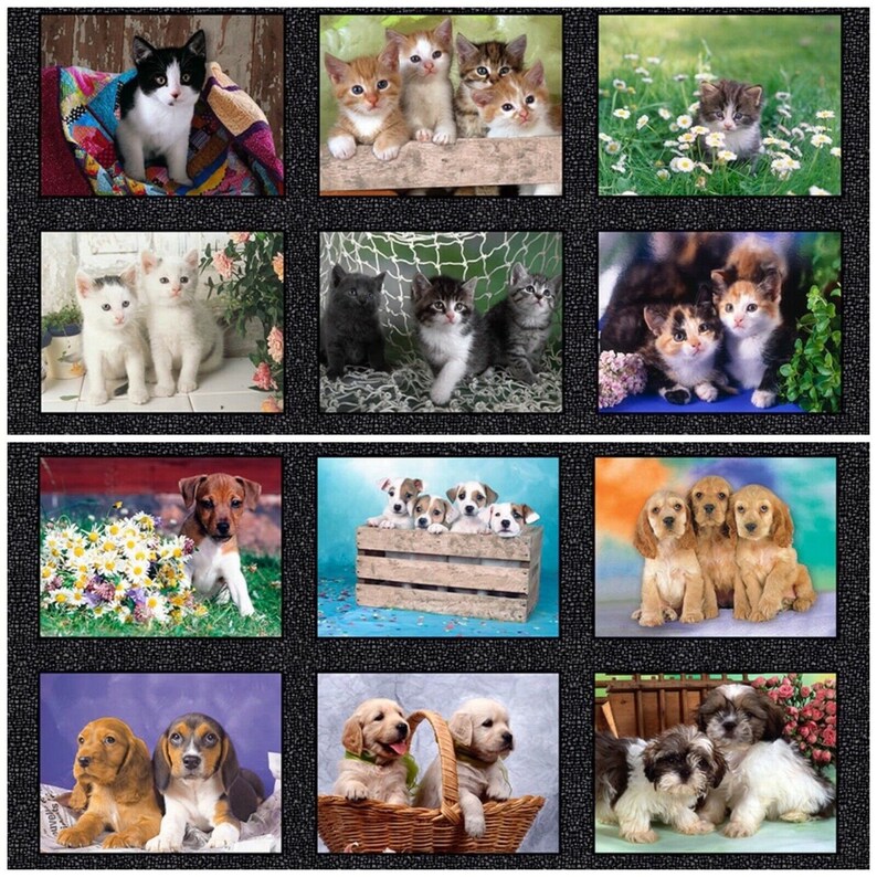 Somebody To Love Cute Puppies Kitten Nursery Cotton Craft Sewing Novelty Quilting Fabric Panel 24\u201c