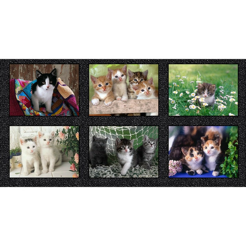 Somebody To Love Cute Puppies Kitten Nursery Cotton Craft Sewing Novelty Quilting Fabric Panel 24\u201c