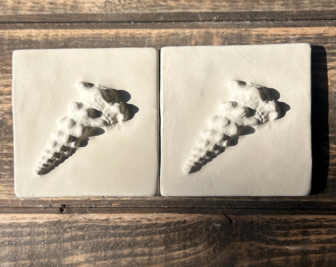 Creamy Engobe Hand made Cone Shell  tile-Set of 2-Tile-4 inch Tile-10 cm tile -ocean tile-backsplash-Cone Shell Tile-Sealife tile-Beach Tile