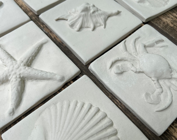 SeaShell Porcelain tile 3/4/6inch 7.6/10/15.25cm-starfish tile-scallop tile-shell tile-seaturtle tile-crab tile-ocean tile-backsplash