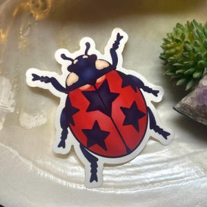 Sticker en vinyle coccinelle céleste
