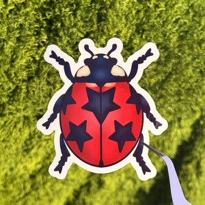 Celestial Lady Bug Vinyl Sticker