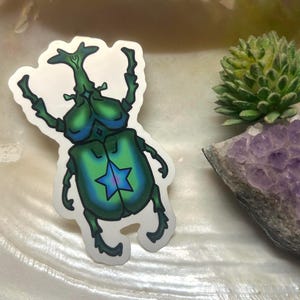 Celestial Beetle Vinyl Sticker