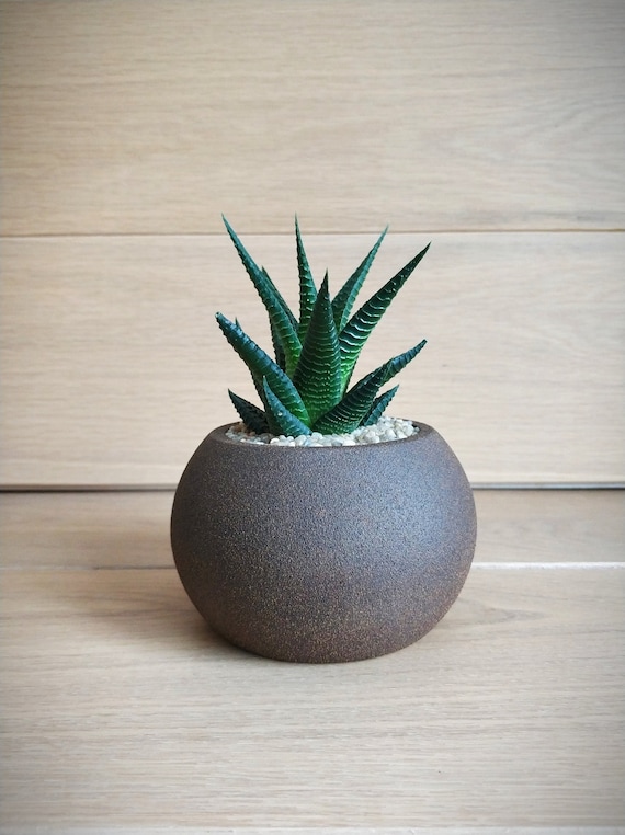 Gypsum Pot Unique Flower Pots Brown Plant Pot Geometric Etsy