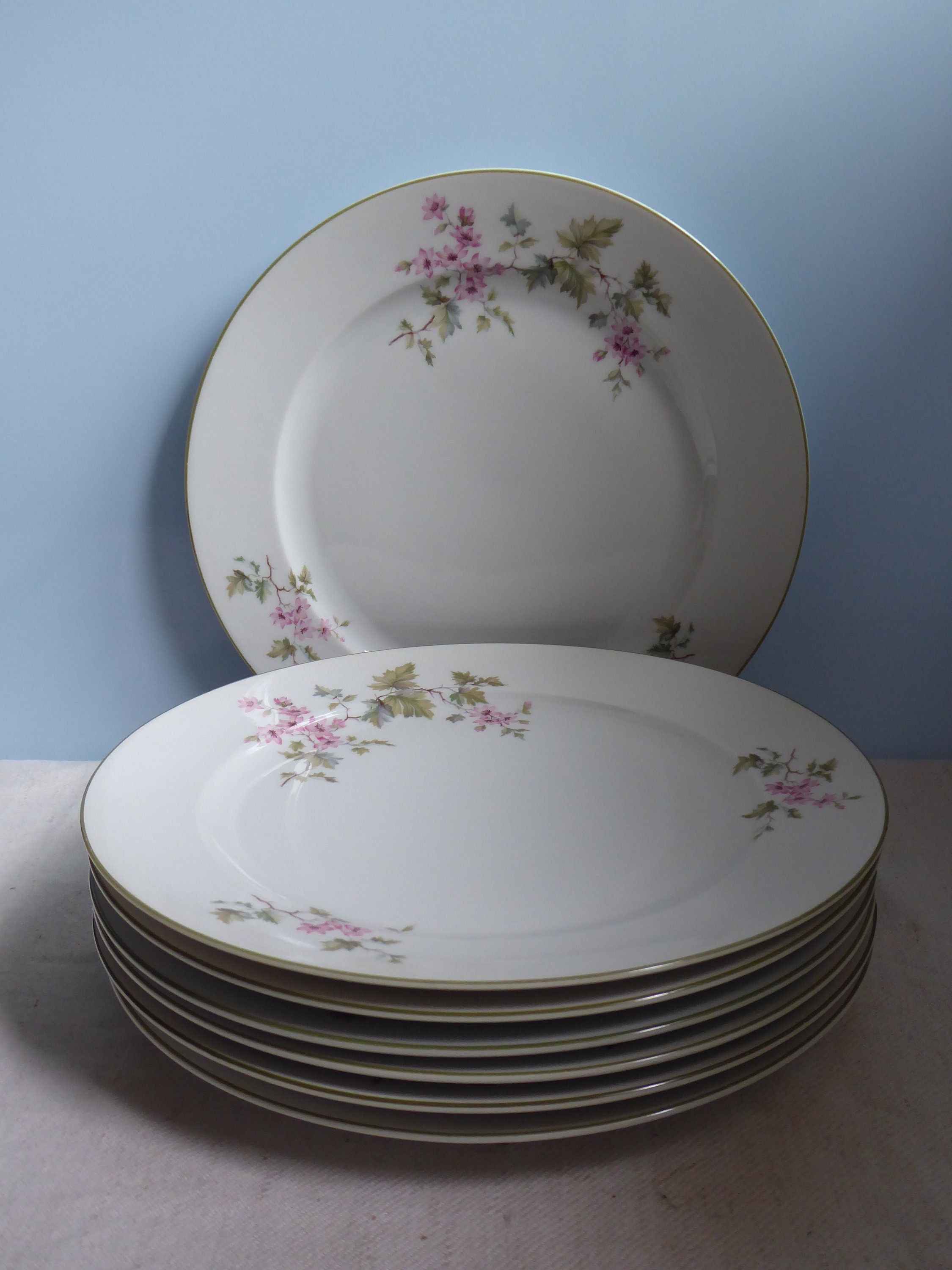 Antique Set Seven Old Dinner Plates Hutschenreuther Germany U.S.