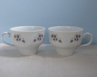 Vintage set dos tazas Mitterteich Baviera Alemania románticas flores azules taza de café verde taza de té porcelana