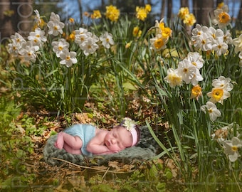 Meadow digital backgroung - fondo digital listo para la fotografía de recién nacidos - flores primavera