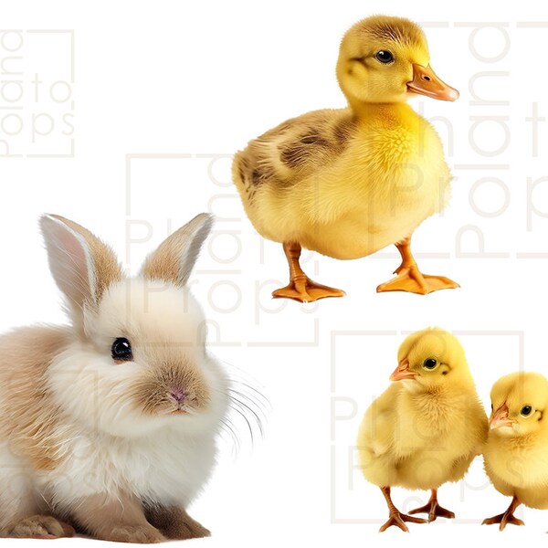 Easter pets png overlay - ready digital Easter baby chickens duck rabbit for newborn baby kid family photography - mini sessions