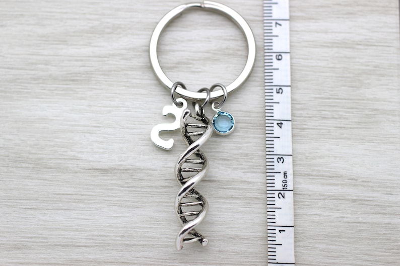 DNA Helix Keyring Family Keychain DNA Gift Science Gift Etsy UK