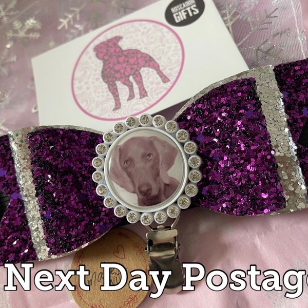 Next day postage Personalised with your dogs picture, sparkly fabric bow style dog show ring clip exhibitor number display with armband