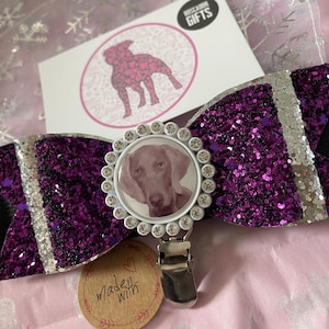 Puppy pack personalised bespoke ring clip with a dogs picture, sparkly fabric, bow style ring clip exhibitor number display with armband