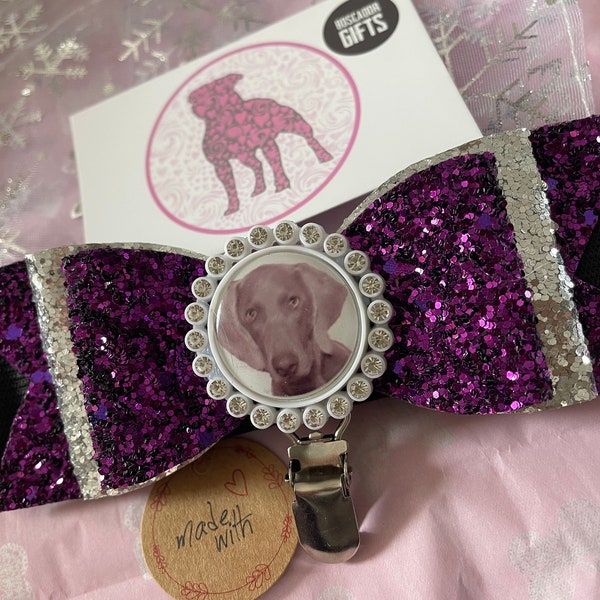 Next day postage personalised bespoke ring clip with your dogs picture, sparkly fabric, bow style exhibitor number display with pin back