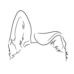 Custom ear outline portrait, dog ears outline, cat ear outline, pet loss gift, dog fine line svg, custom pet tattoo, hand drawn tattoo line
