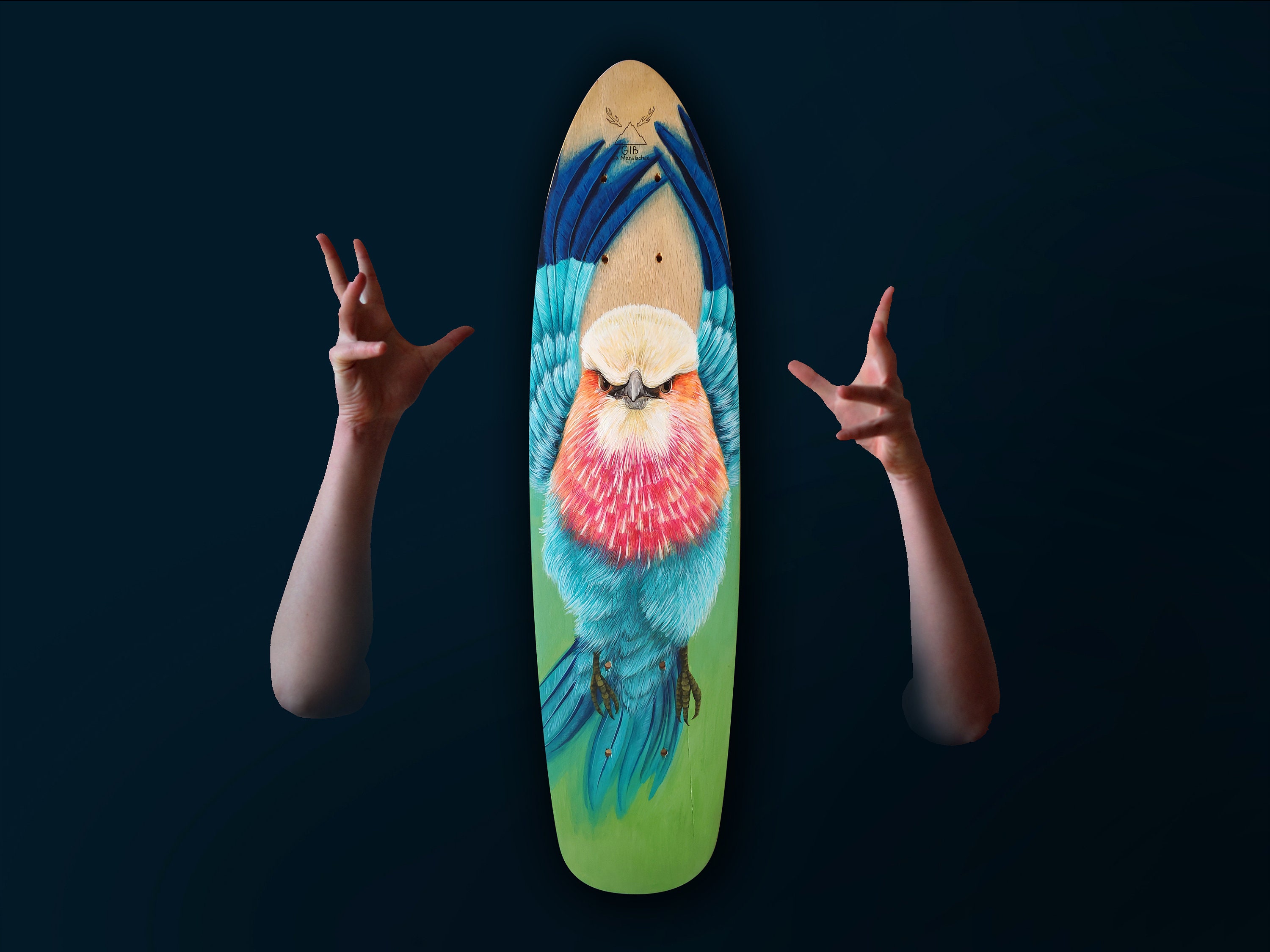 Décoration Murale - Skateboard Oiseau
