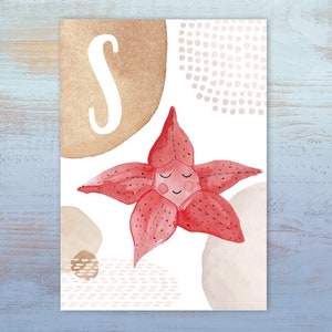 ABC-Karte "S wie Seestern" | Buchstabenkarte | Postkarte A6 | Alphabet-Karte | Schulanfang | Namenskarte