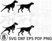 Hunting dog svg, dog svg, hunting svg, dog clipart, hunting clipart, digital download