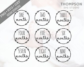 Baby Months 1-12 SVG Bundle, Archivo de corte de hito mensual, PNG, DXF, Cameo, Cricut, Vector