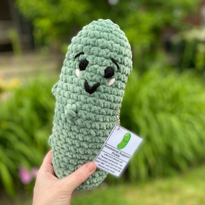 May include: A light green crocheted pickle with a smiling face and small arms. The pickle has a tag that reads "Emotional Support Pickle" and includes text about helping with life's challenges.