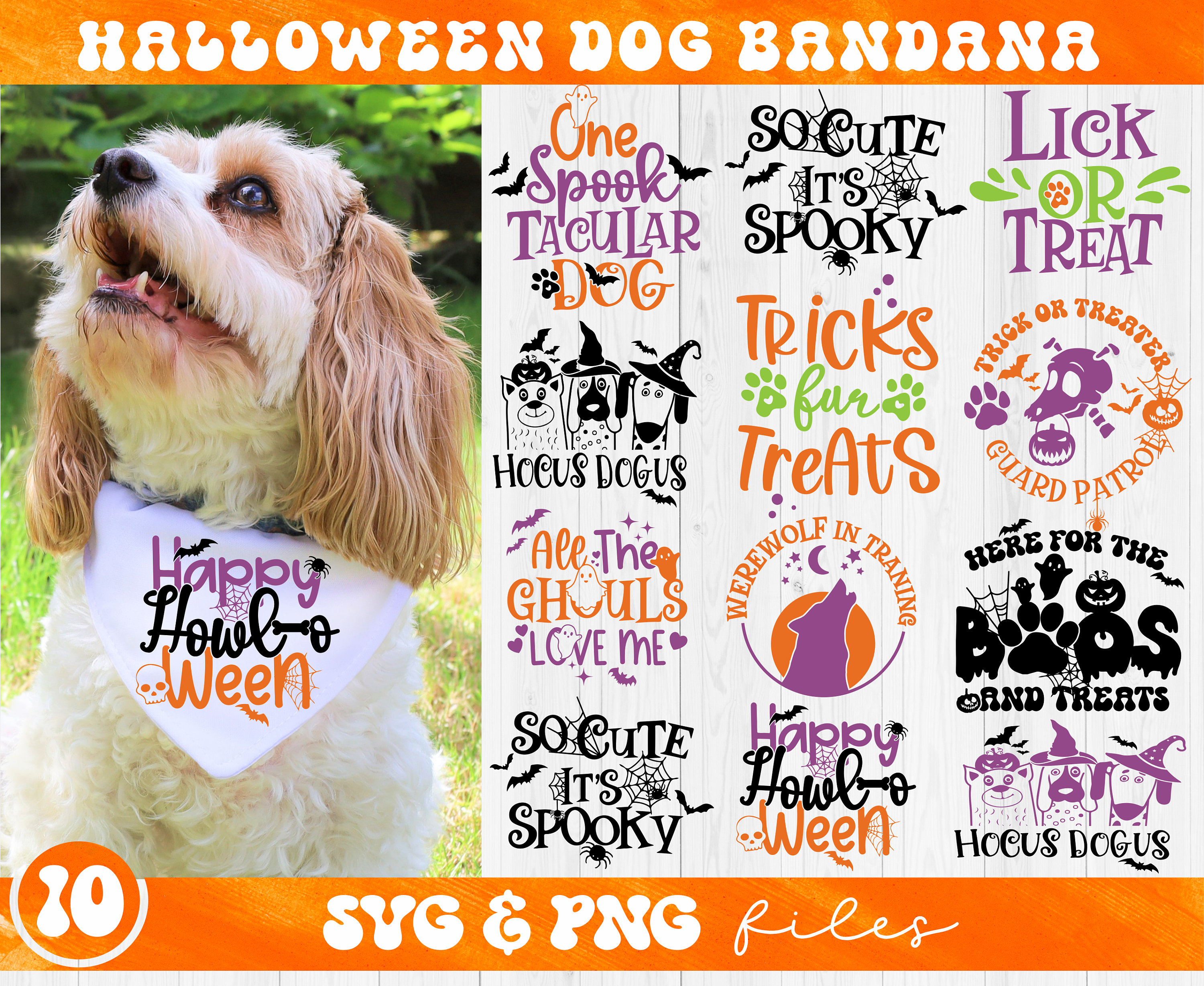 Halloween Dog Bandala Svg Bundle Halloween Dog Svg Halloween Etsy