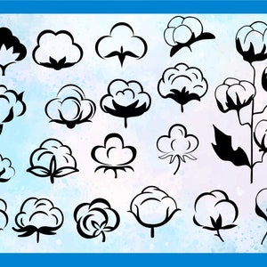 Cotton Svg,cotton Svg Files for Cricut,cotton Silhouette Svg,cotton ...