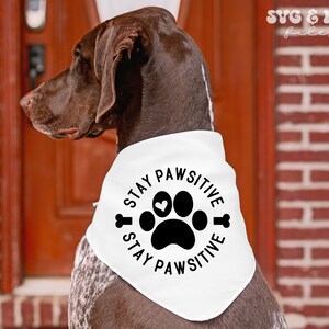 Puede incluir: Un perro marr&oacute;n con un pa&ntilde;uelo blanco con la frase "STAY PAWSITIVE" en un dise&ntilde;o circular. El dise&ntilde;o incluye una huella de pata, un coraz&oacute;n y gr&aacute;ficos de huesos. El perro est&aacute; frente a una pared de ladrillos rojos y una puerta marr&oacute;n.