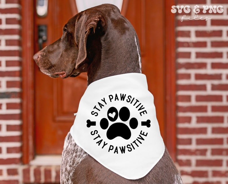 Puede incluir: Un perro marr&oacute;n con un pa&ntilde;uelo blanco con la frase "STAY PAWSITIVE" en un dise&ntilde;o circular. El dise&ntilde;o incluye una huella de pata, un coraz&oacute;n y gr&aacute;ficos de huesos. El perro est&aacute; frente a una pared de ladrillos rojos y una puerta marr&oacute;n.