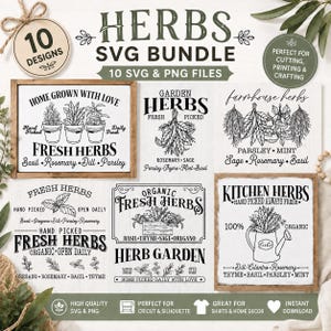 Op de afbeelding: Een digitaal pakket met 10 ontwerpen met kruidenthema in SVG- en PNG-indeling. De collectie bevat zwarte lijntekeningen van kruiden in potten, hangende bundels en gieters met tekst zoals Home Grown With Love, Fresh Herbs en Kitchen Herbs.