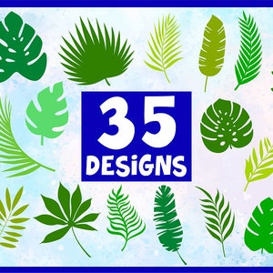 Tropical leaves svg,Tropical leaf svg,Jungle leaves svg,Jungle leafs svg,Tropical leaves svg bundle,Monstera leaf svg,Leave silhouette svg