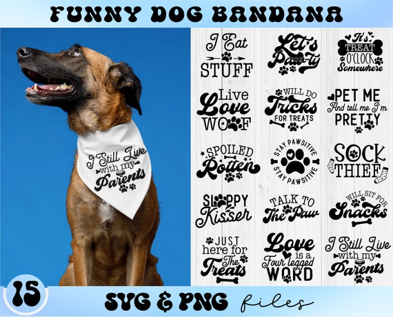 Funny Dog Bandana SVG Bundle, Dog Bandana svg, Dog Life svg, Pet Shirt svg, Will Do Tricks For Treats svg, I Still Live With My Parents svg