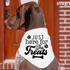 Puede incluir: Un perro marr&oacute;n con un pa&ntilde;uelo blanco con el texto "JUST here for The Treats" en negro. El pa&ntilde;uelo tiene huellas de patas y un hueso. El perro est&aacute; frente a una puerta roja y una pared de ladrillos.