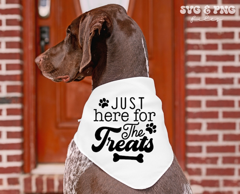 Puede incluir: Un perro marr&oacute;n con un pa&ntilde;uelo blanco con el texto "JUST here for The Treats" en negro. El pa&ntilde;uelo tiene huellas de patas y un hueso. El perro est&aacute; frente a una puerta roja y una pared de ladrillos.