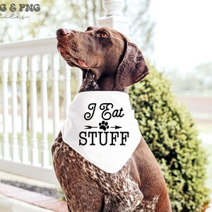 Puede incluir: Un perro marr&oacute;n y blanco con un pa&ntilde;uelo blanco con el texto "I Eat STUFF" en negro. El perro est&aacute; sentado afuera en un porche. La imagen tambi&eacute;n incluye el texto "SVG & PNG files".