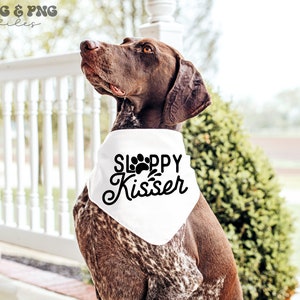 Puede incluir: Un perro marr&oacute;n y blanco con un pa&ntilde;uelo blanco con las palabras "Sloppy Kisser" en escritura negra y un dise&ntilde;o de huella de pata. El perro est&aacute; al aire libre, con una barandilla blanca y follaje verde en el fondo.