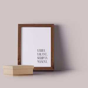 May include: A framed print with the Latin phrase "Verba Volant, Scripta Manent" in black text. The frame is a dark brown wood, and a small, tan cardboard box sits in front of the frame on a light grey surface.