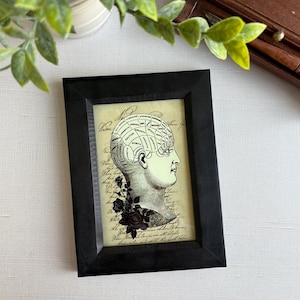 Phrenology Head Framed Art Print, Vintage Phrenology Print, Curiosity Cabinet Art, Anatomy Wall Art, Vintage Medical Illustration