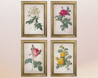 Framed French Botanical Gallery Wall Art Collection- Set of 4