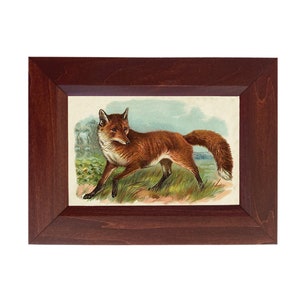 May include: A framed illustration of a red fox walking through a grassy field. The fox is facing left and has its tail curled behind it. The background is a blue sky with white clouds.