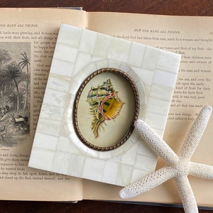 May include: Square, mosaic-style picture frame with an oval brass-toned insert featuring a colorful seashell illustration. A white starfish rests beside the frame, with an open book in the background. The frame is approximately 5 inches square.