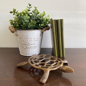 Puede incluir: Una pequeña maceta de metal blanco con las palabras "FLEURS & PLANTES" en el lateral, llena de plantas verdes de hoja. La maceta está sobre una superficie de madera junto a una pila de tres libros verdes con letras doradas.